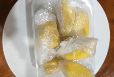 DURIAN MUSANG KING